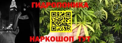 гидра Пыть-Ях