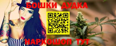 молекула духа Пугачёв