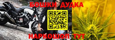 молекула духа Пугачёв
