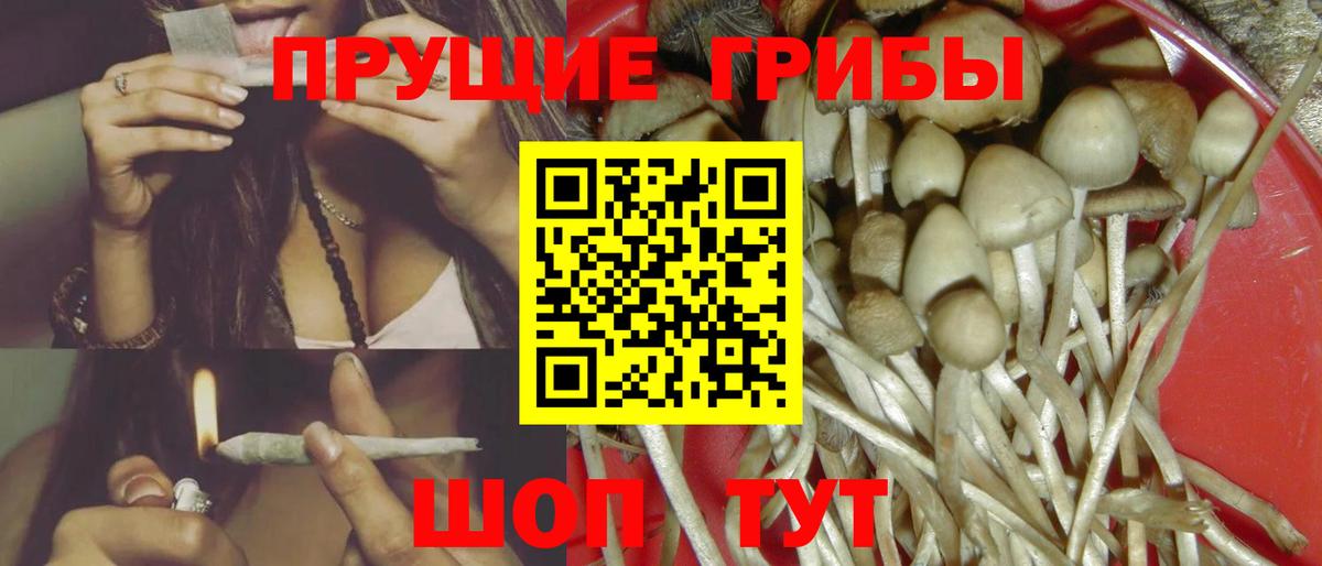 Псилоцибиновые грибы MAGIC MUSHROOMS Сальск