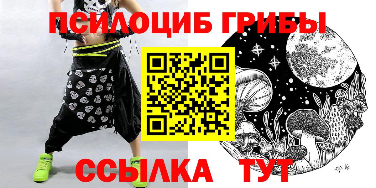 магазин продажи наркотиков  Псилоцибиновые грибы мицелий  Вход с VPN  Сальск  Псилоцибиновые грибы MAGIC MUSHROOMS 